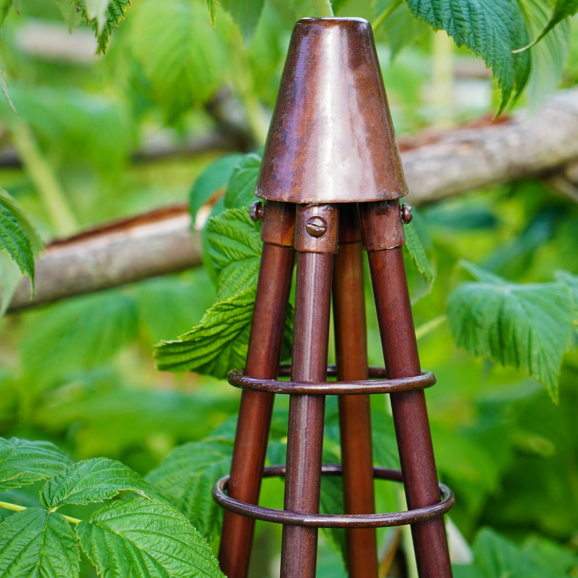 Thumbnail 11
